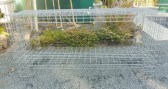PottingBench_240cm3